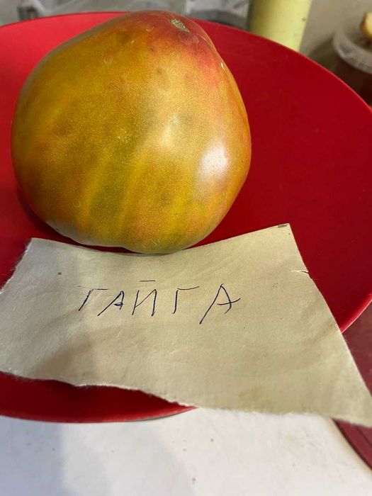 Коллекционные семена томатов