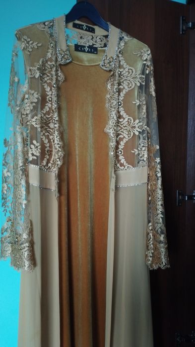 Палатия вечерной