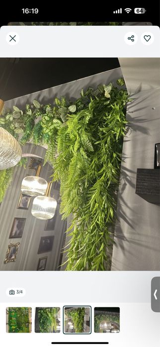 Продам пано из мха