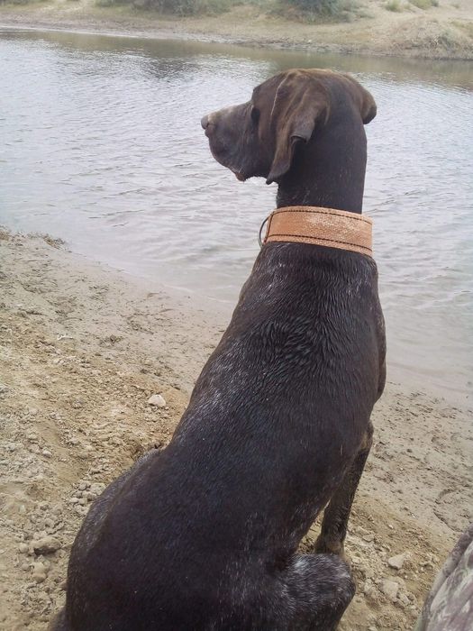 Курцхар кабель на вязку.