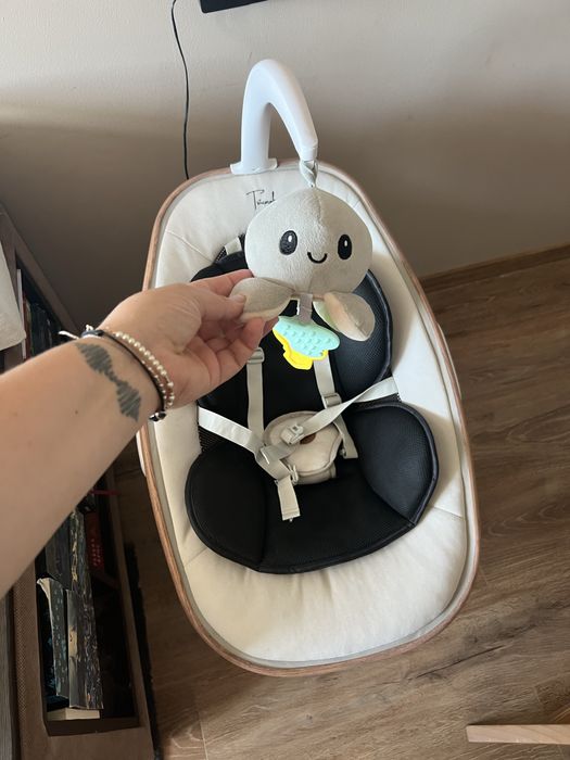 Cangaroo triumph