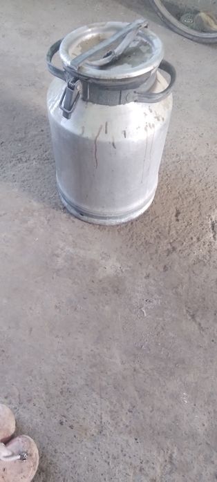 Vilak sotilade 35 letr xolade yaxshe yog'neke  300000 so'm  keleshtere