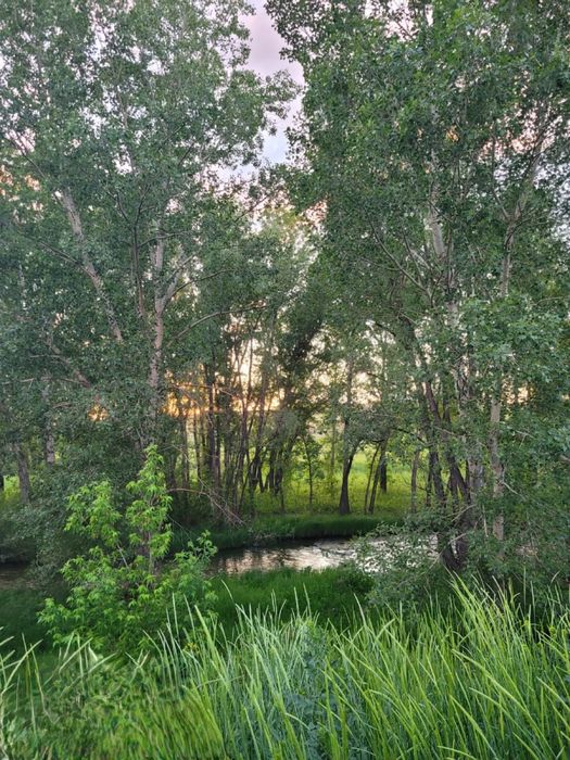 Продам дачу в Акимовке