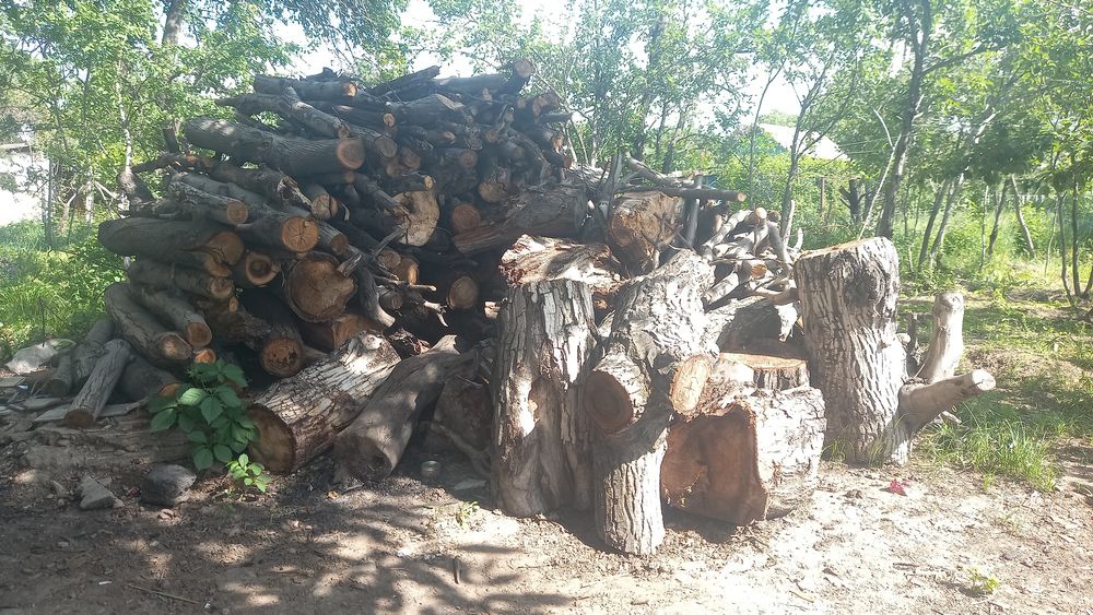 Дрова ореха и  вишни
