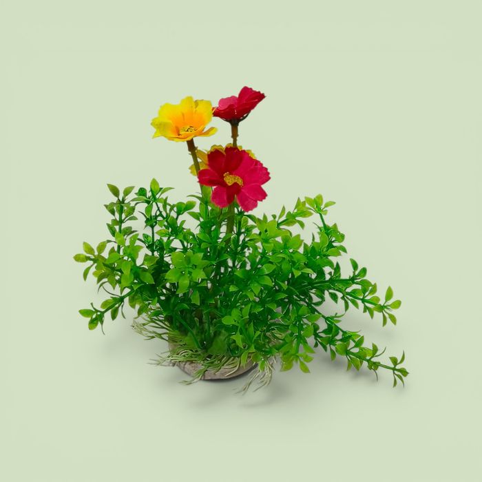 Faqat Akvarium uchun