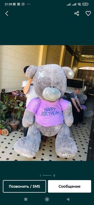 Teddy teddi xitoy original