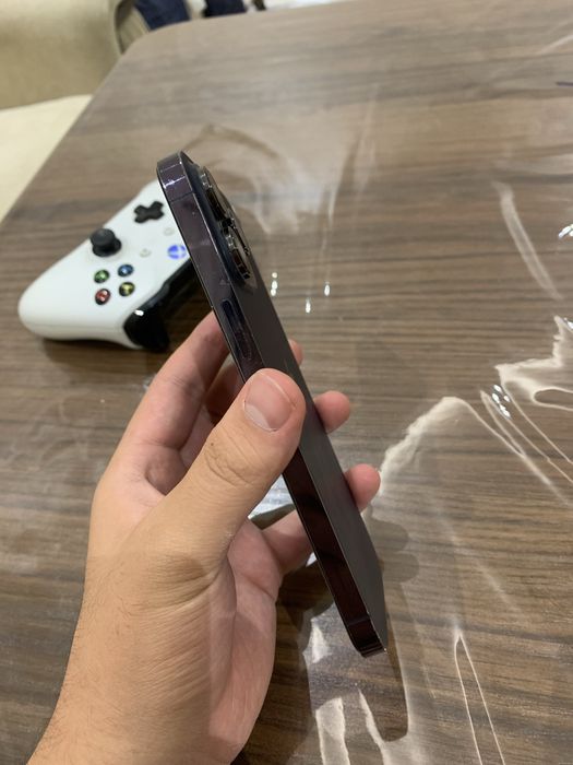 Iphone 14Pro Max hammayogi radnoy