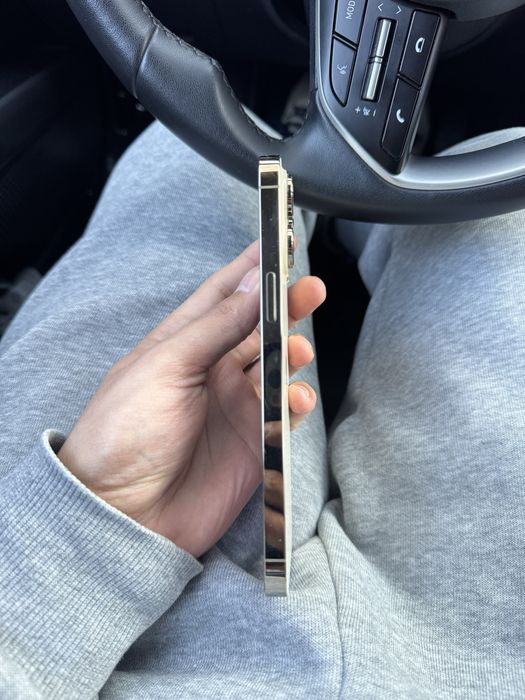 14 про мах 256гб EAC