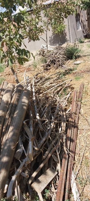 Утинлар.  Дрова.