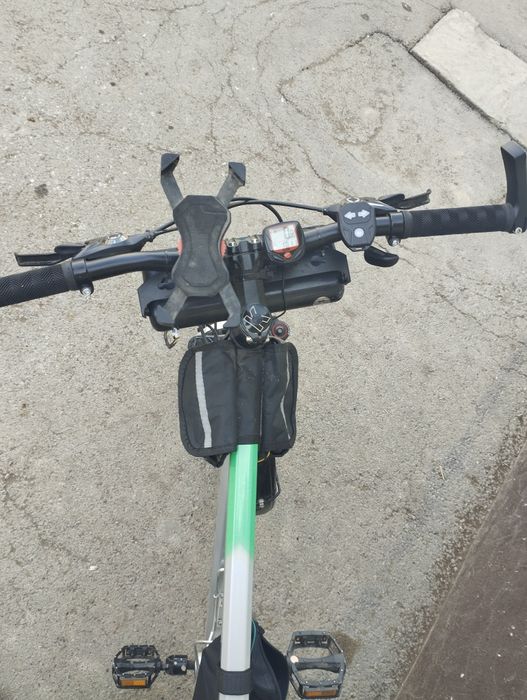 Velik yangi holati zoʻt