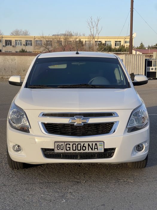 Cobalt style 2023 ideal