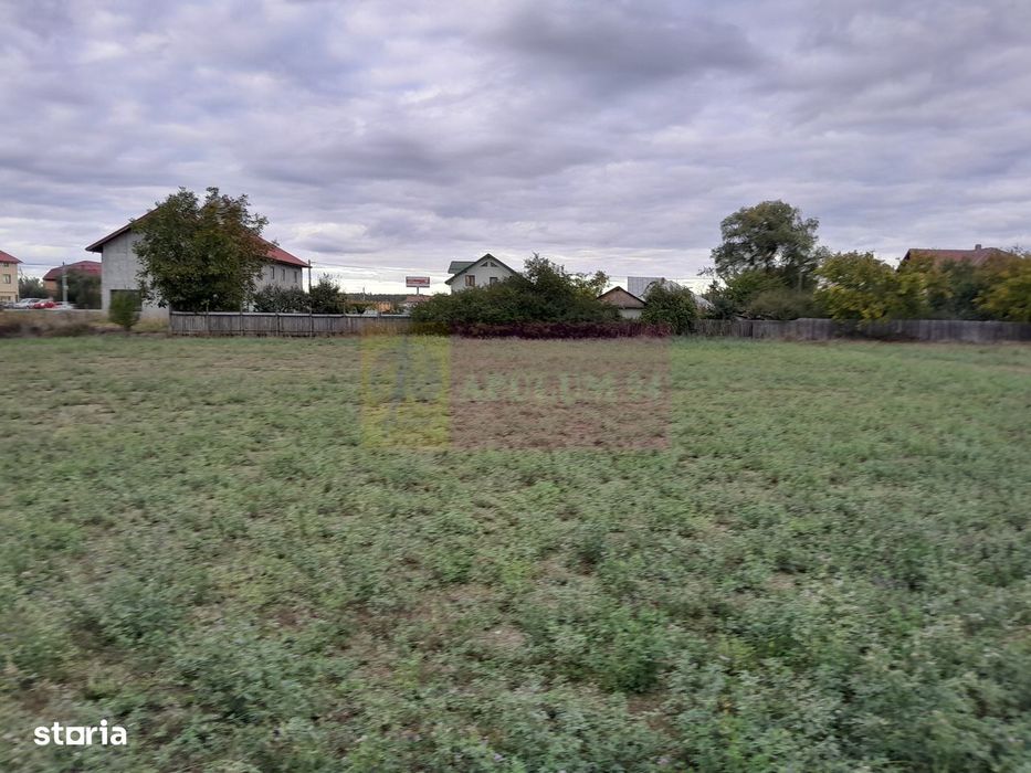 De Vanzare Teren 2000 Mp  -  Cosereni( Il )