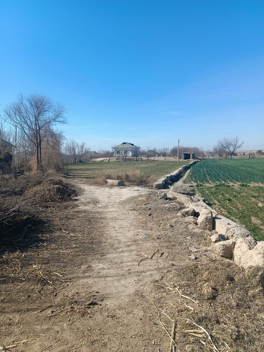 Сурхандарйо вилояти Жаркургон тумани Жайрахона тепа кишлогида