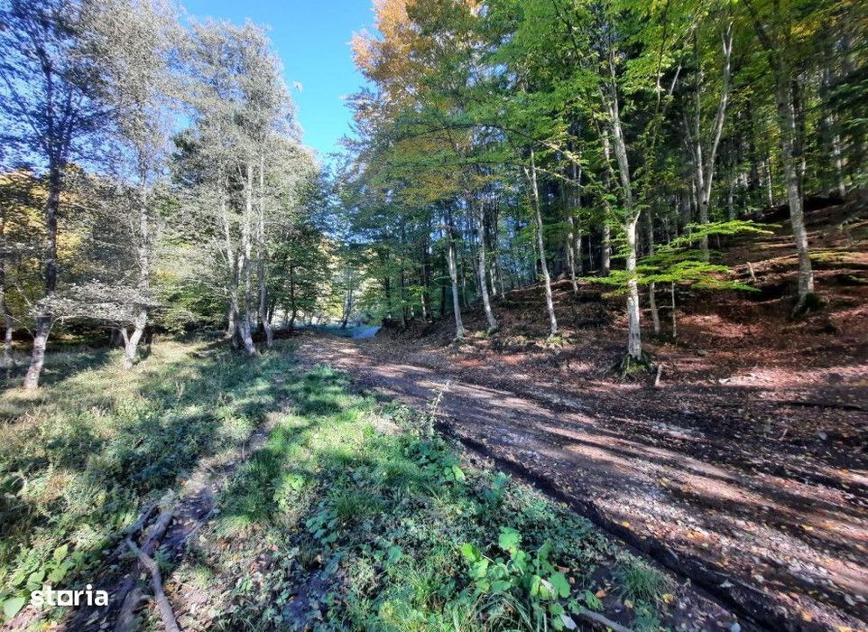 Teren extravilan , 7160 metri Cod:160785