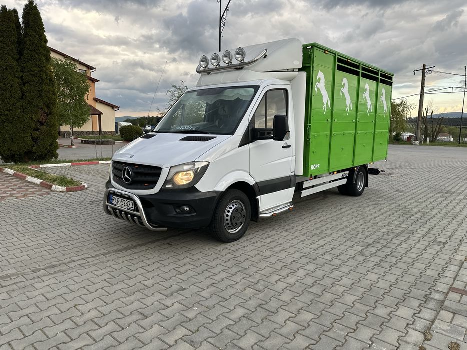 Mercedes sprinter 519 , transport animale , iveco daily