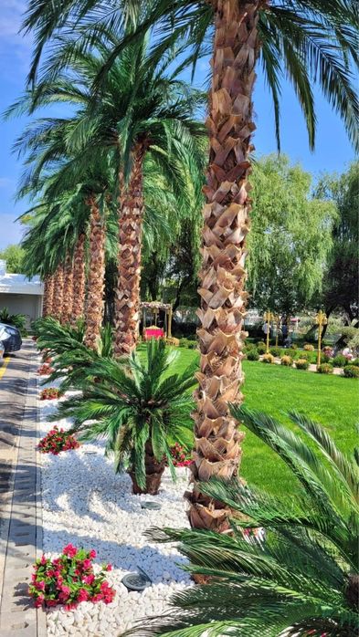 Изкуствена палма