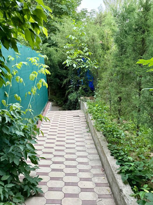 Сдаю свою дачу в Акташе