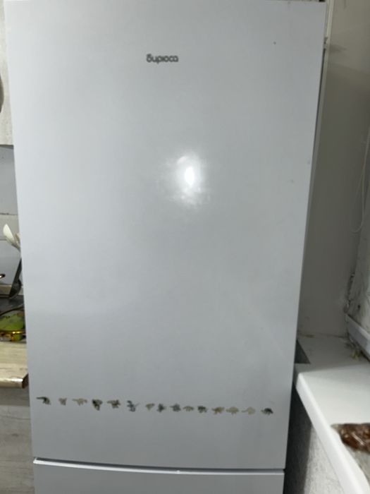 Холодильник бирюса НА ЗАПЧАСТИ