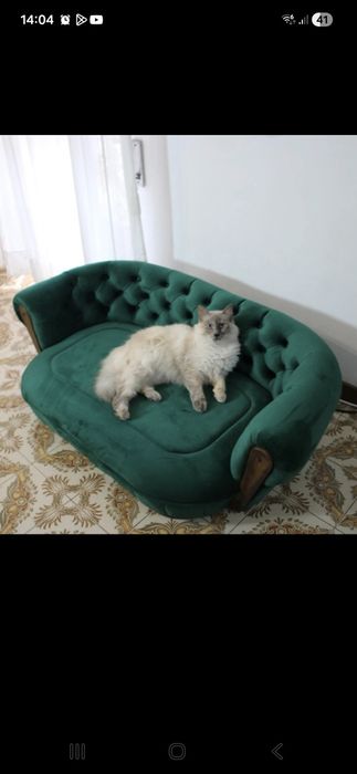 Patut/Canapea animale . Caine/Pisica