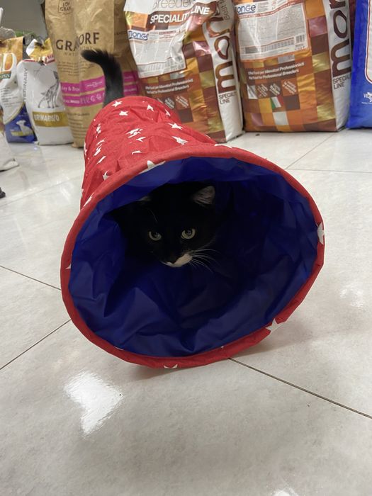 Игрушка для кошек Туннель с мятой