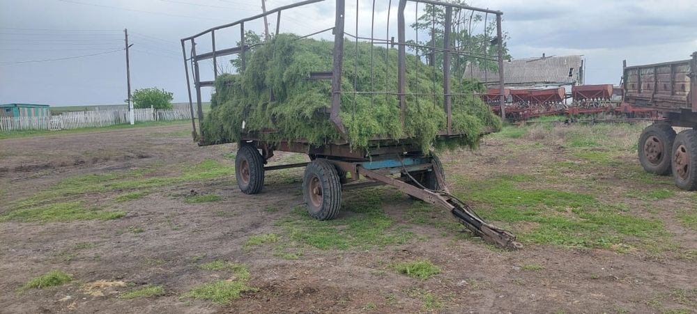 Продам ПТС-4 Сеновозка