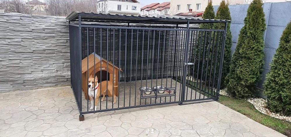 Țarc Padoc Caini Masive