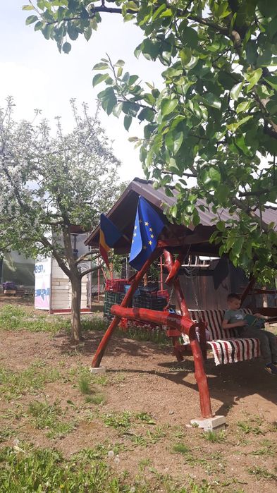 Covorașe mocheta + cabana