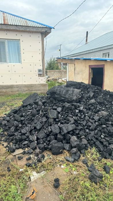 УГОЛЬ УГОЛЬ все сорты