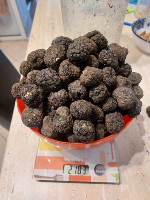 Trufe proaspete parfumate