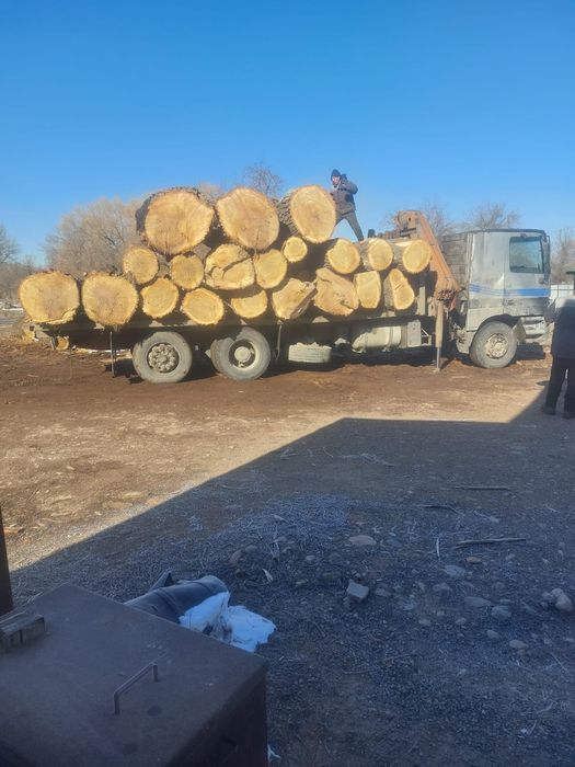 Распил древесины