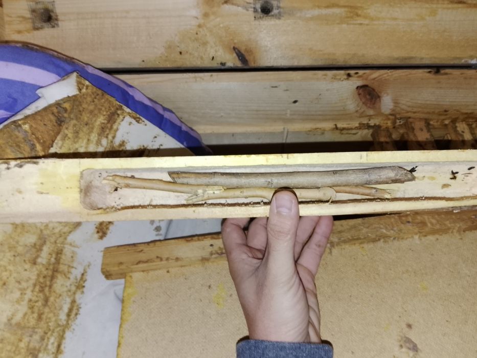 Уля для пчело. Пчеловодства