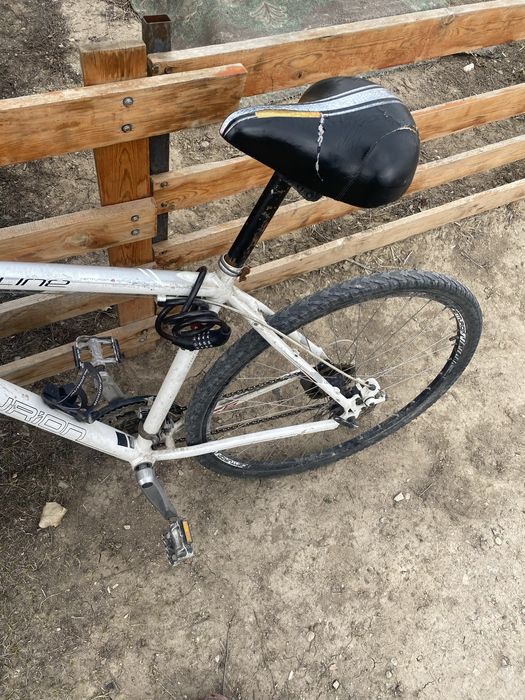 Велик сатылады !