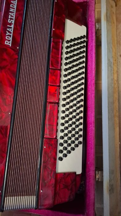 Royal Standar (Баян)