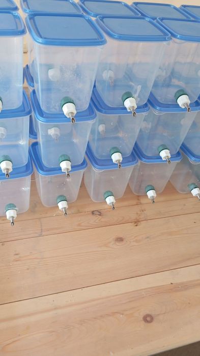 Қуёнлар учун сув идиш сотилади