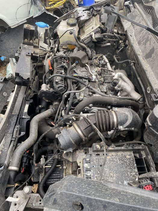 Haval H6 2024 год на разбор