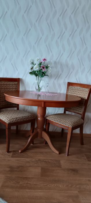 Стол овальный и два стула.