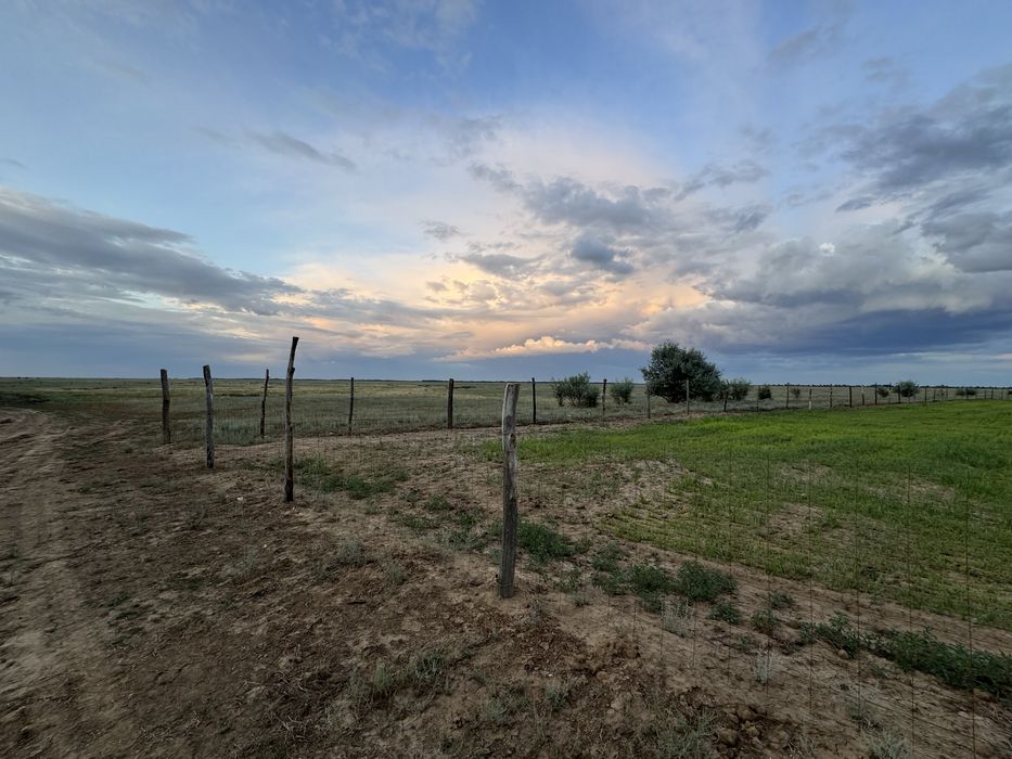 Продается КХ !!!