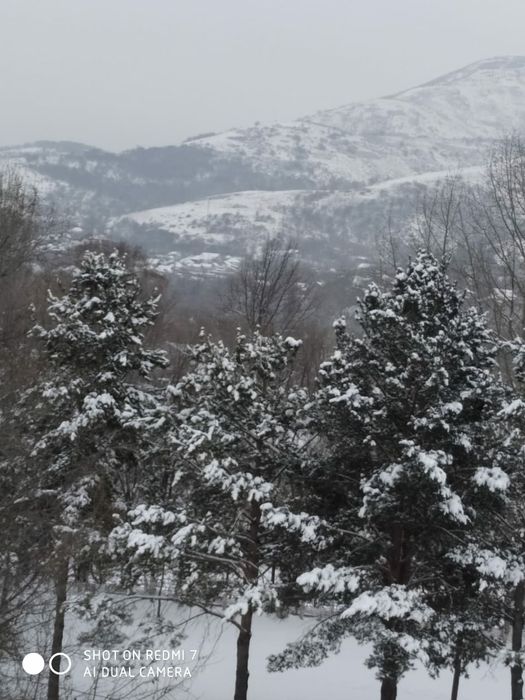 аренда квартир посуточно