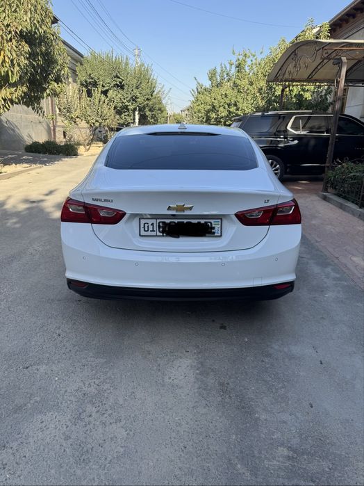 Malibu 2 2018 atmosferni