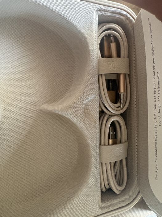 Bang & Olufsen Beoplay H95