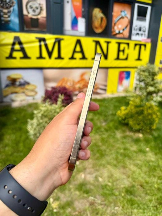 iPhone 12 Pro Max / 256GB / Gold - Impecabil