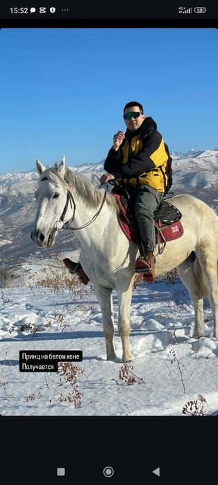 Конные прогулки, прокат лошадей, конные туры