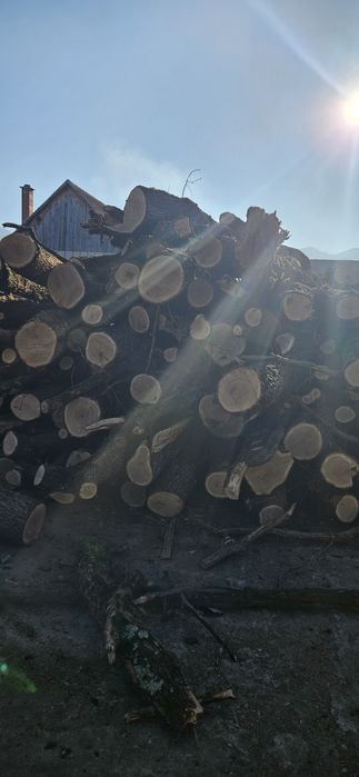 Vând  lemn de foc din stejar