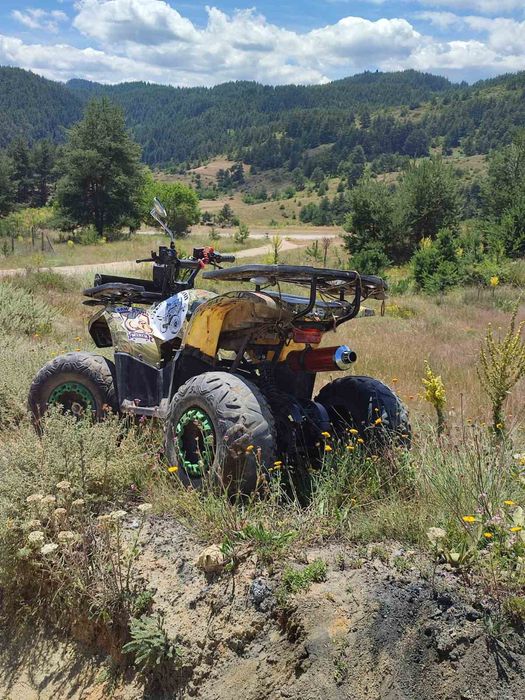 Бензиново атв четири тактовоо
