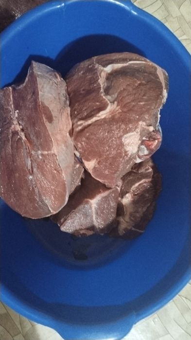 Мясо говядина мякоть