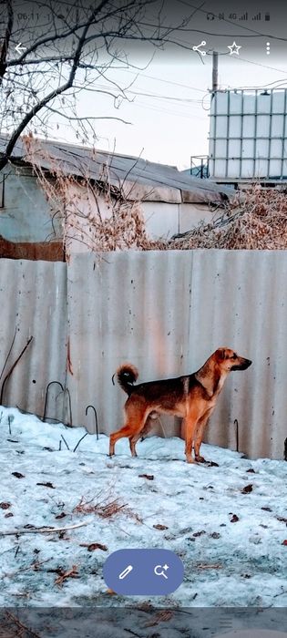 В очень добрые, надёжные руки
