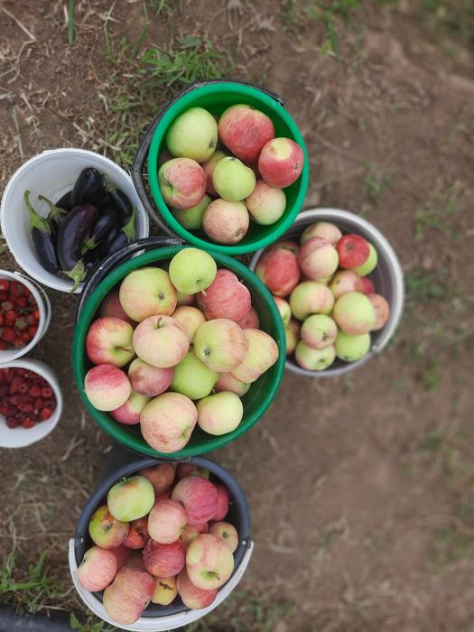 СО. Агротехснаб.Дача сатылады