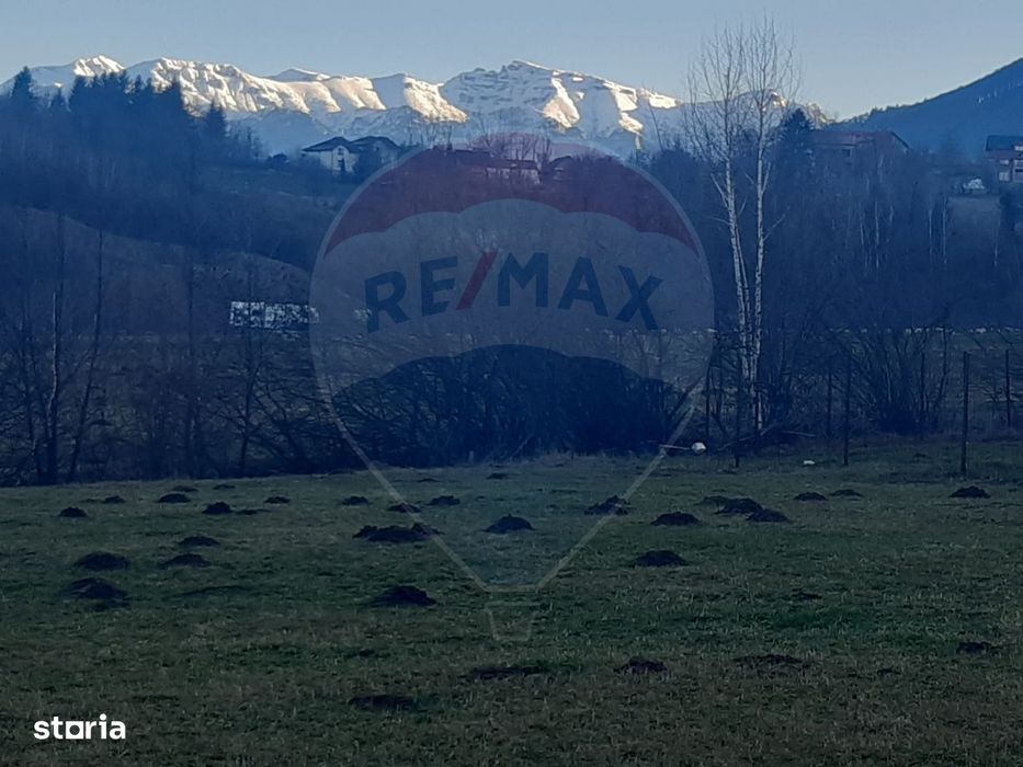 Teren 1,404mp Zarnesti / Strada FN