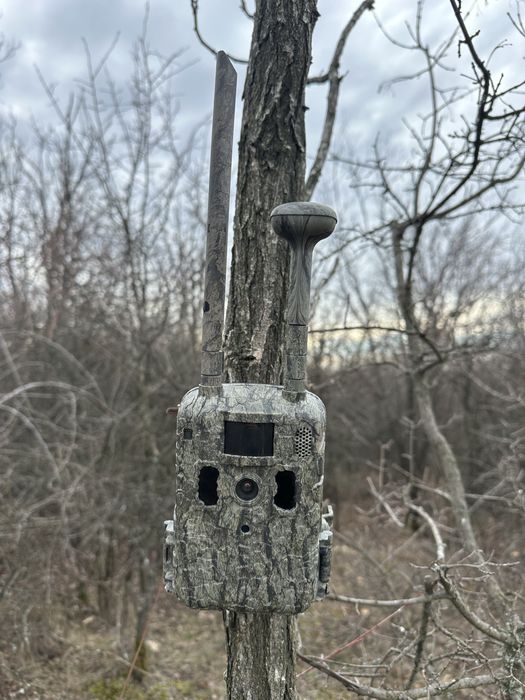 Camera vanatoare Forestvision Live C8 GPS 2025 4G