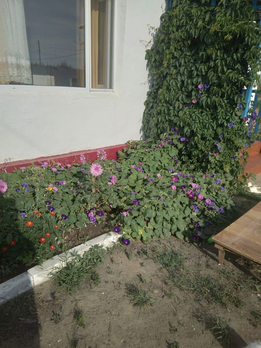Продам дом на Степном